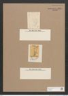 Navicula sp. (de-Toni-Nr.: Genus 1) Zeichnungen Sammlung Grunow Nr. 1624 (NHMW-BOT-W0368225)